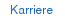 Karriere