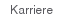 Karriere
